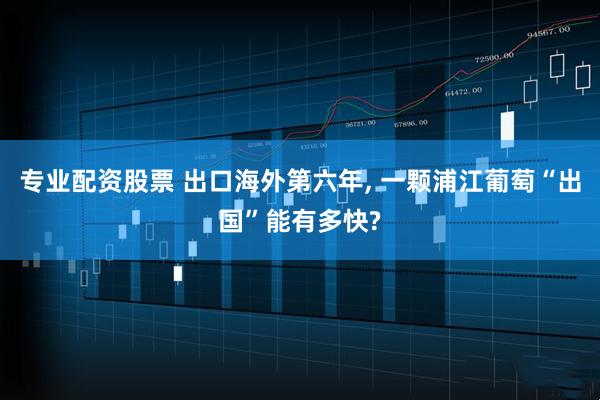 专业配资股票 出口海外第六年, 一颗浦江葡萄“出国”能有多快?