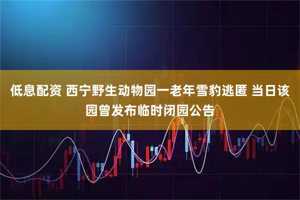 低息配资 西宁野生动物园一老年雪豹逃匿 当日该园曾发布临时闭园公告